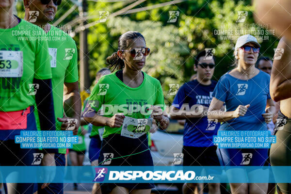 Vale Verde Run 2024