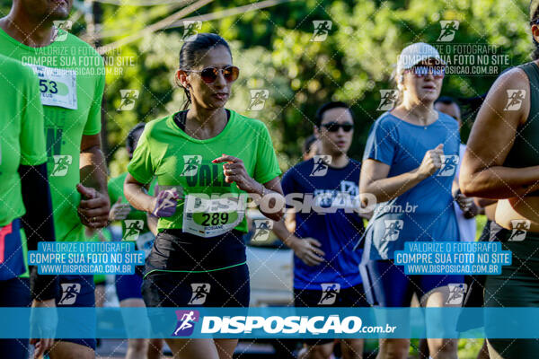 Vale Verde Run 2024