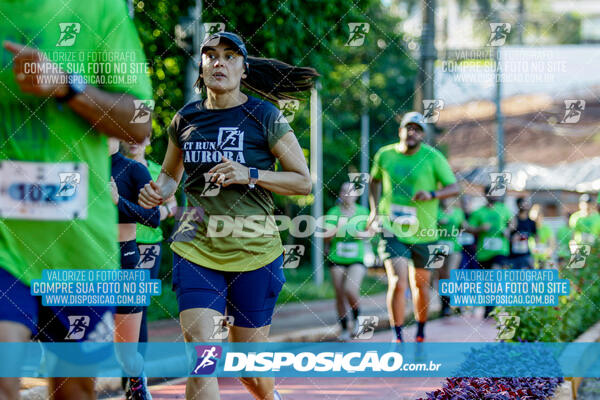 Vale Verde Run 2024