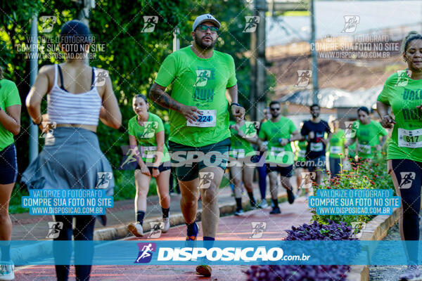 Vale Verde Run 2024