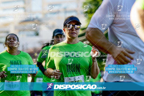 Vale Verde Run 2024