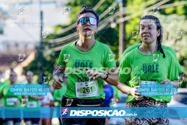 Vale Verde Run 2024