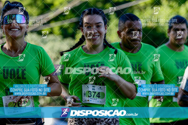 Vale Verde Run 2024