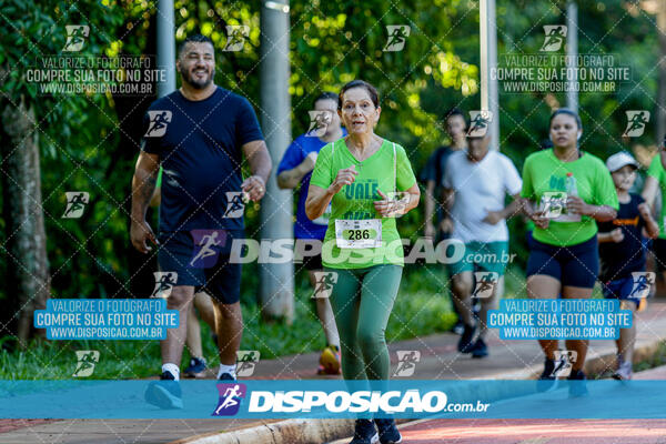 Vale Verde Run 2024