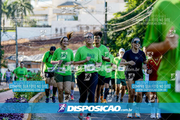 Vale Verde Run 2024