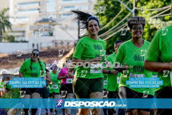 Vale Verde Run 2024