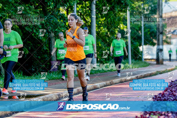 Vale Verde Run 2024