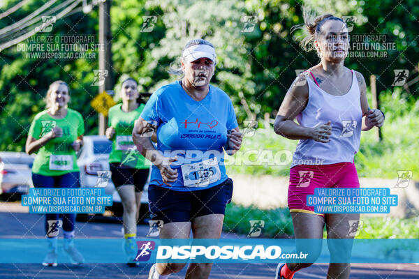 Vale Verde Run 2024