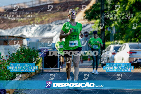 Vale Verde Run 2024