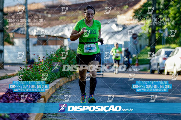 Vale Verde Run 2024