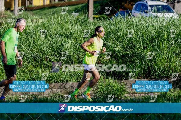 Vale Verde Run 2024