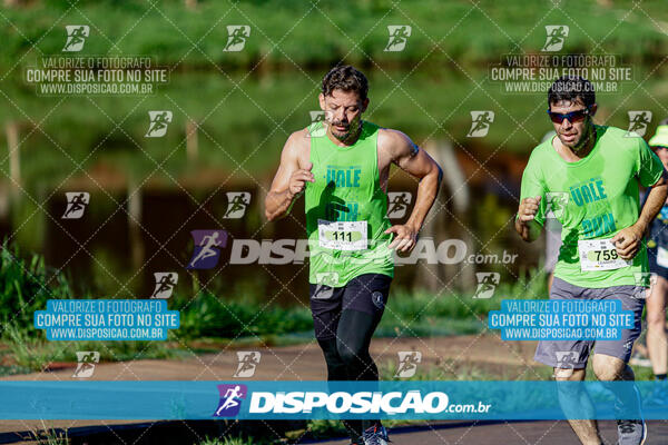 Vale Verde Run 2024