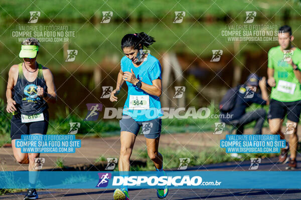 Vale Verde Run 2024