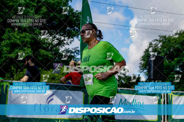 Vale Verde Run 2024