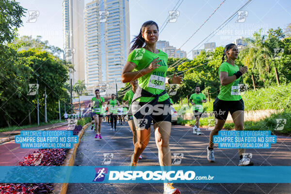 Vale Verde Run 2024