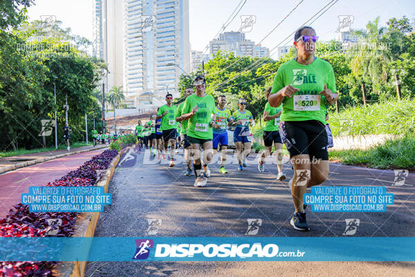 Vale Verde Run 2024