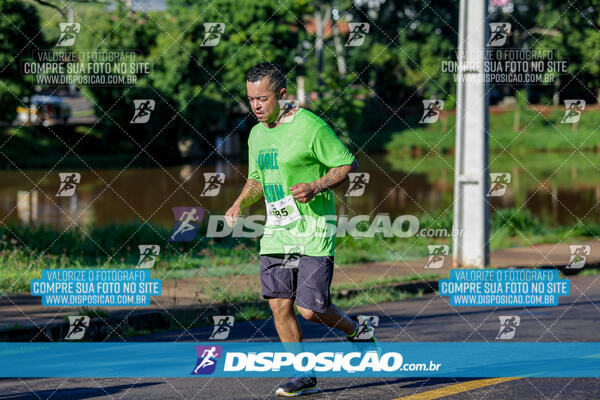 Vale Verde Run 2024