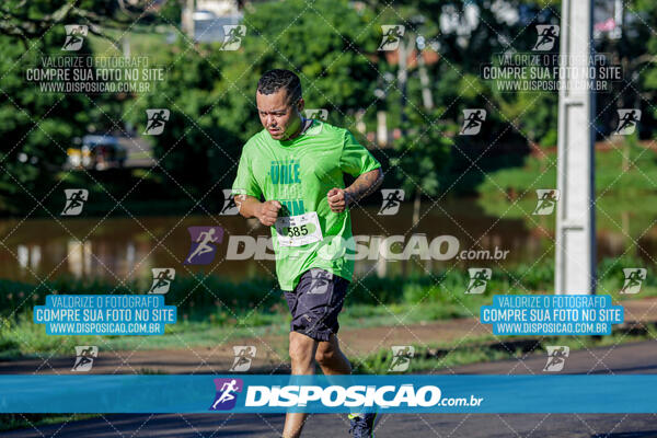 Vale Verde Run 2024