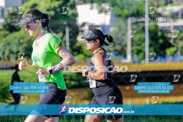 Vale Verde Run 2024