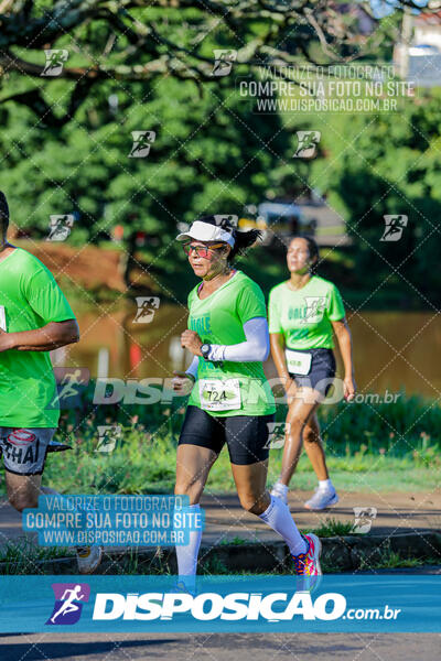 Vale Verde Run 2024