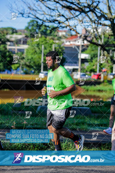 Vale Verde Run 2024