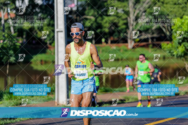 Vale Verde Run 2024