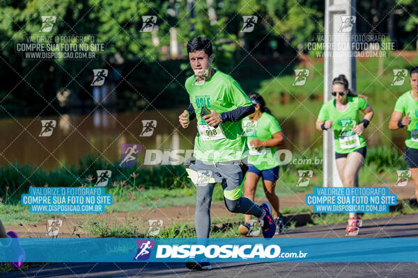 Vale Verde Run 2024