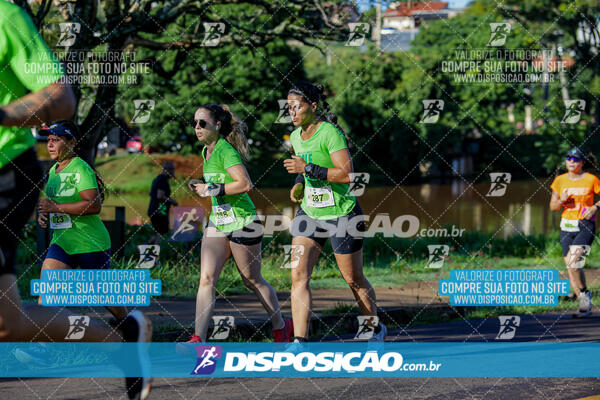 Vale Verde Run 2024