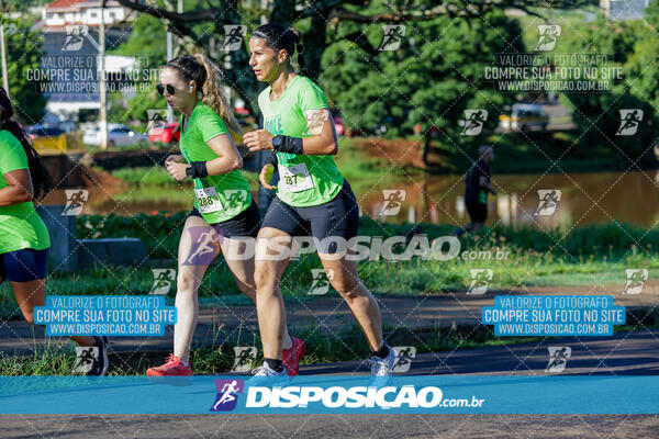 Vale Verde Run 2024