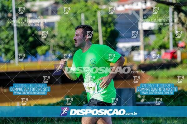 Vale Verde Run 2024