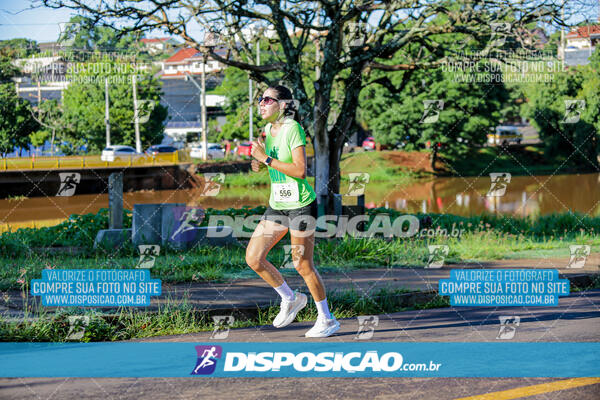 Vale Verde Run 2024