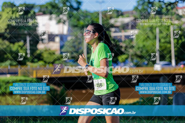 Vale Verde Run 2024