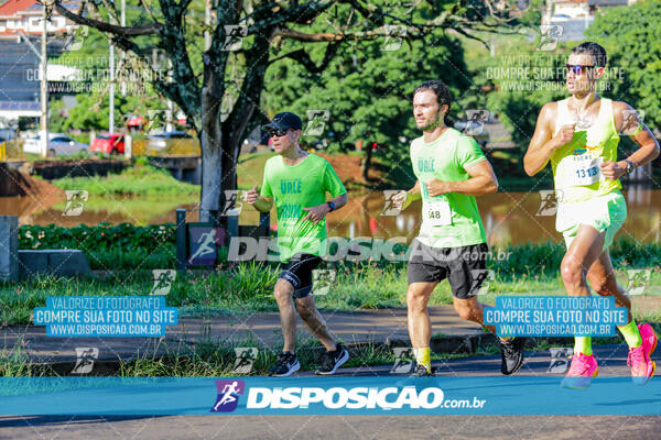 Vale Verde Run 2024