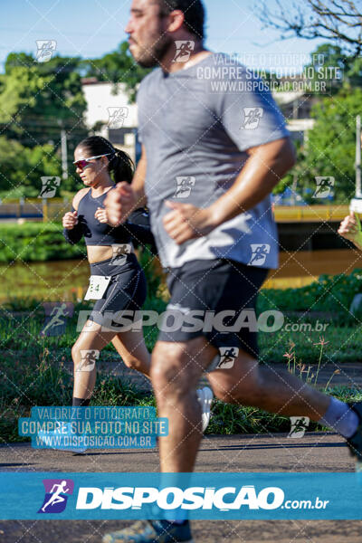 Vale Verde Run 2024