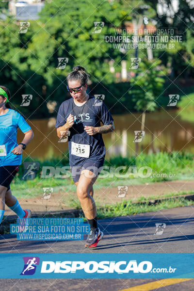 Vale Verde Run 2024