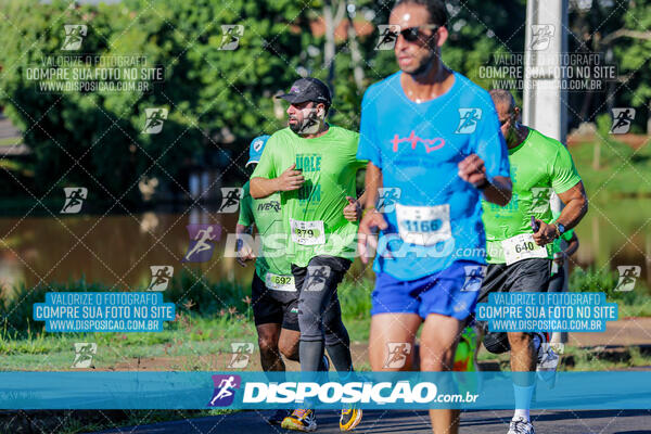 Vale Verde Run 2024