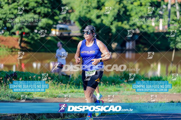 Vale Verde Run 2024