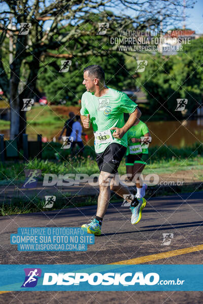 Vale Verde Run 2024