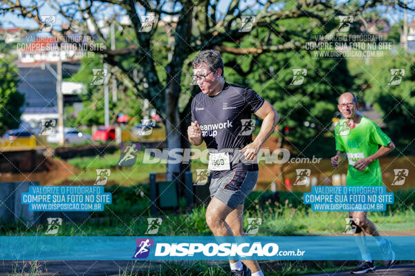 Vale Verde Run 2024