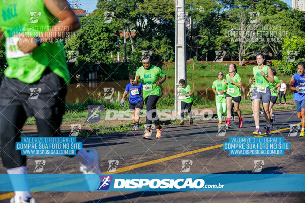 Vale Verde Run 2024