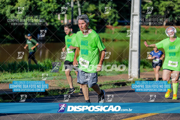 Vale Verde Run 2024