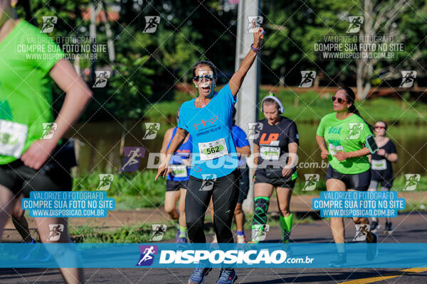 Vale Verde Run 2024