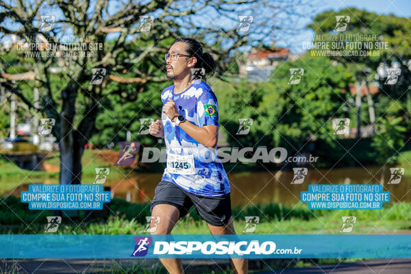 Vale Verde Run 2024