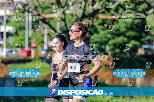 Vale Verde Run 2024