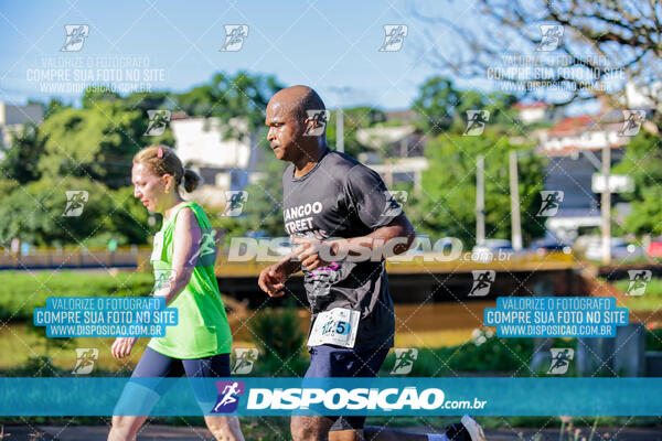 Vale Verde Run 2024