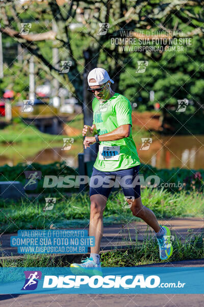 Vale Verde Run 2024