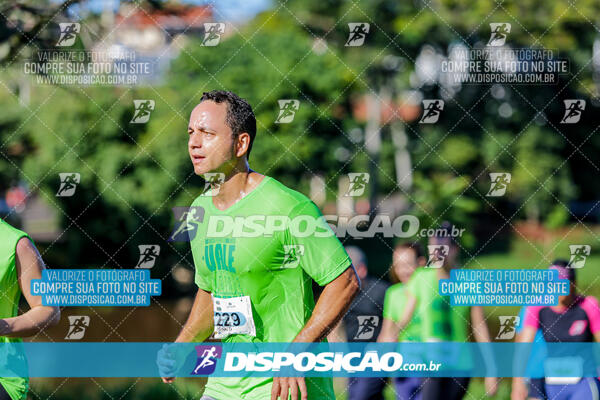 Vale Verde Run 2024