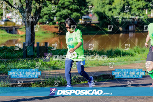 Vale Verde Run 2024