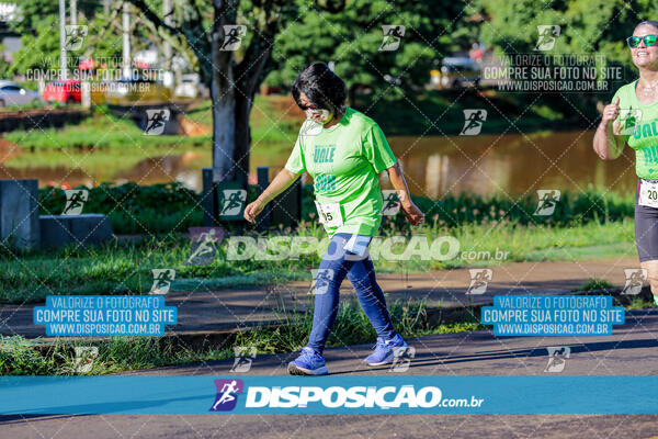 Vale Verde Run 2024