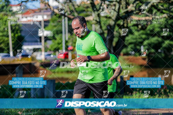 Vale Verde Run 2024